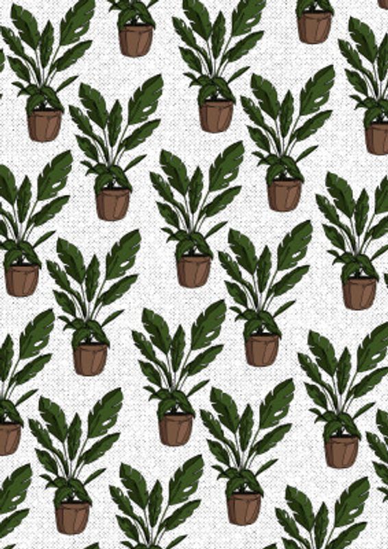 Plant Pattern