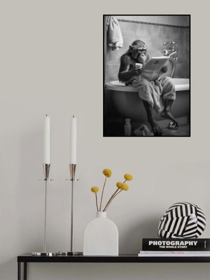 Monkey In the Bathroom