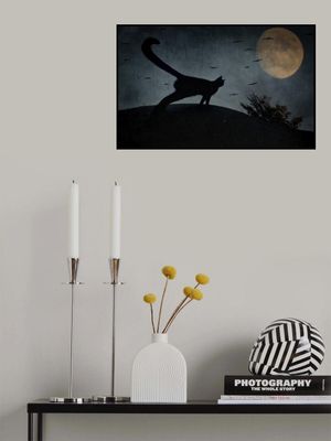 the curious tail of the cat filemon...