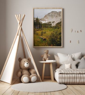 Indian Peaks Wilderness