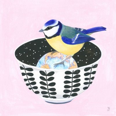Blue Tit and Bowl