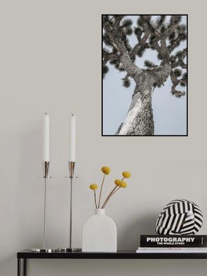 Twisting Desert Giant