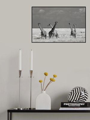 Look Girl Strange Animals