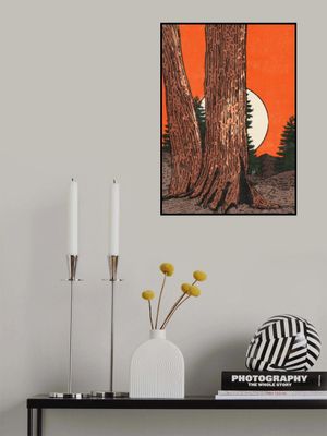 The Calm of the Forest