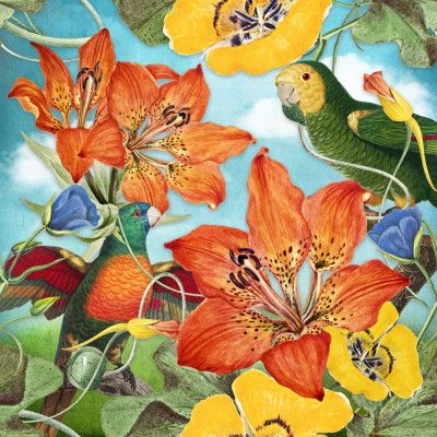 All the Two Parrots In the World