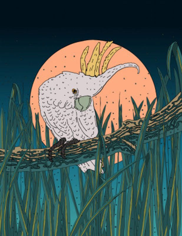 Under the Watchful Moon