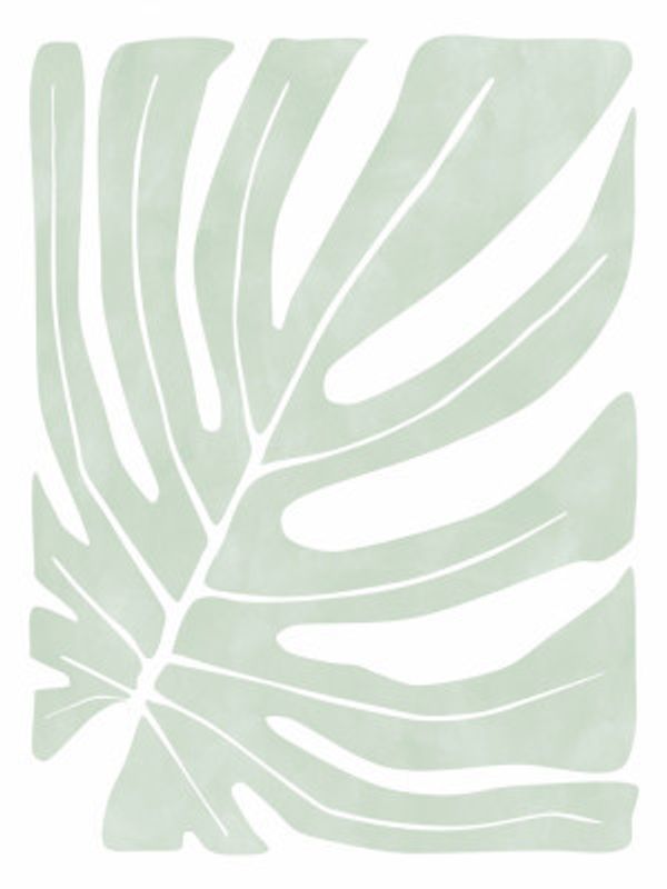 Stylized Green Monstera Leaf
