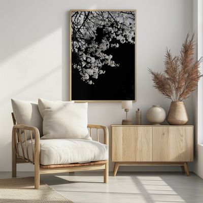White Spring Blossoms