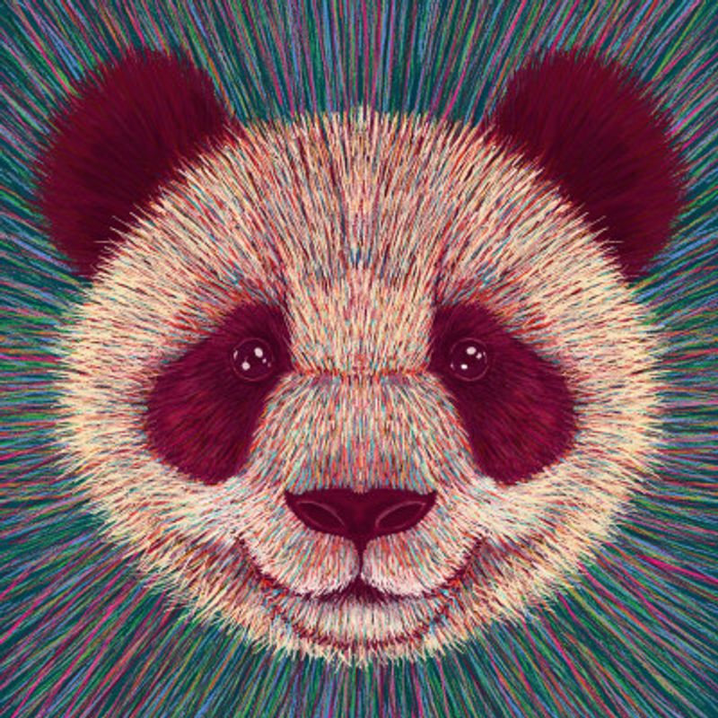 Animal Face   Panda