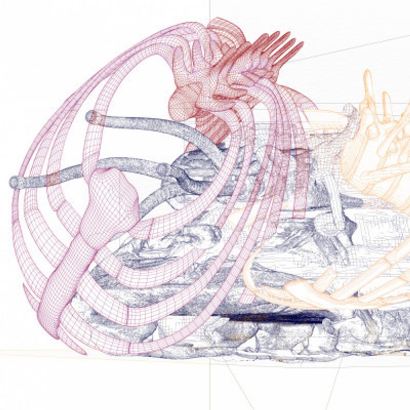 Tectumque 2.0 series