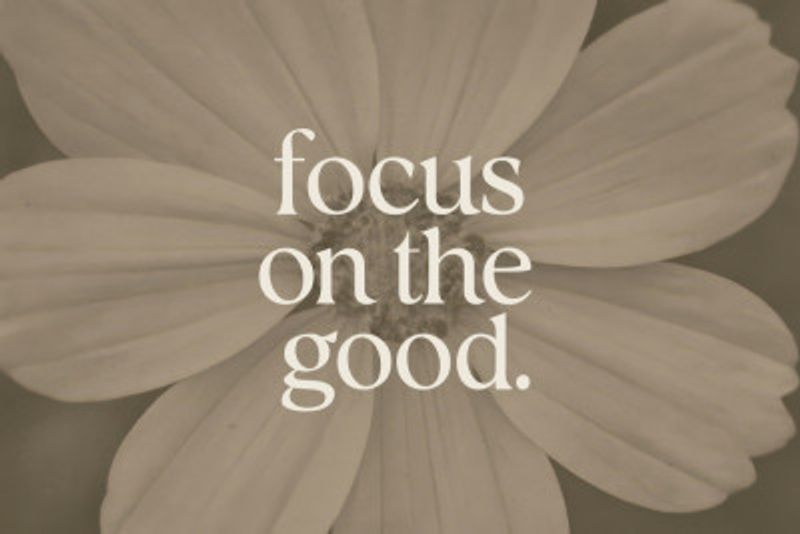 Focusonthegood(flower)