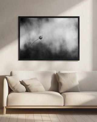 Flax after flowering