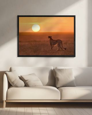 New day in Mara Plains