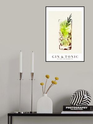 Gin and Tonic