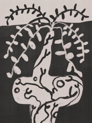 Rustic Pot Plant On the Table