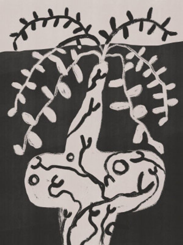 Rustic Pot Plant On the Table