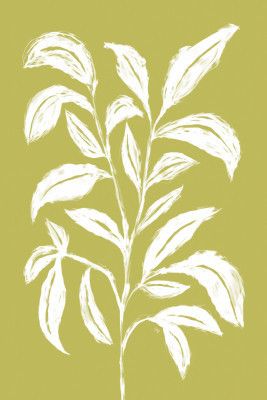 White Leaf Sketch