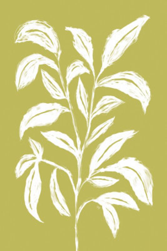 White Leaf Sketch