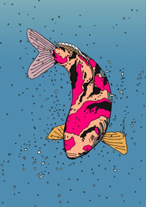 Two koi Fish Swimming in Water