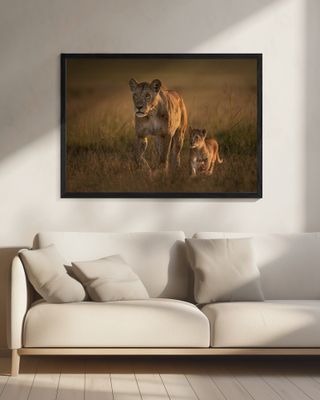 Mom lioness with cub