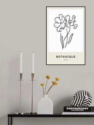 Botaniqueno(flowers)