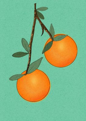 Oranges Fruit with Leaves