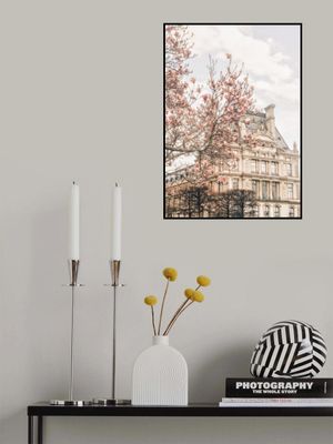 Magnoliaparis Ratioiso