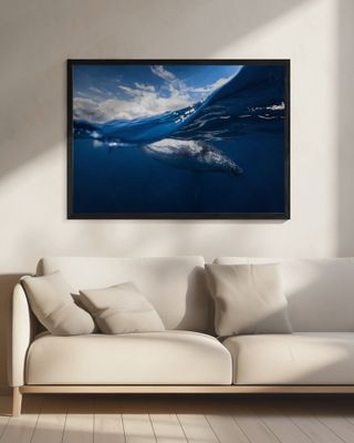 Humpback whale and the sky