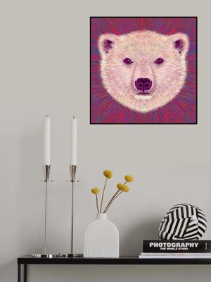 Animal Face   Polar Bear