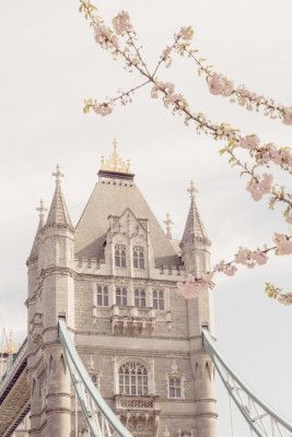 Towerbridgeblooms Ratio2x3