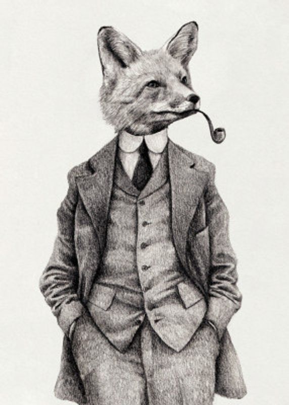 The Vintage-style Fox