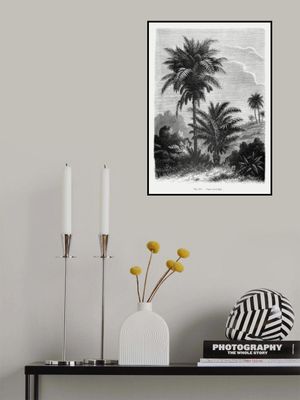 Vintage Palm Tree Drawing V
