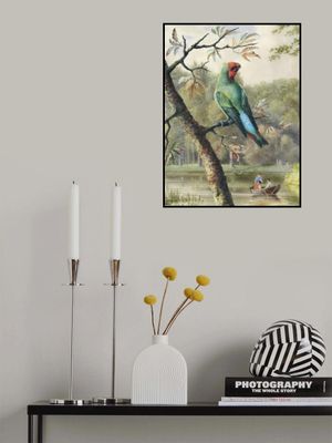 Afternoon In the Park