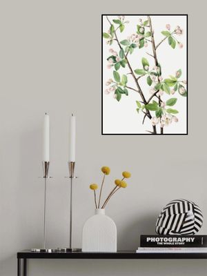 Wild Sweet Crab (1920)