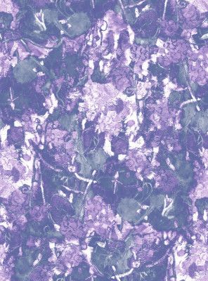 Repeatpat Hydrangea2