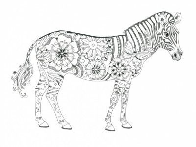 Flowered Zebra