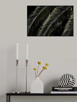 Lush Palm Fronds