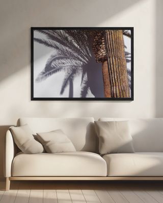 Las Vegas Shadows Palm Tree