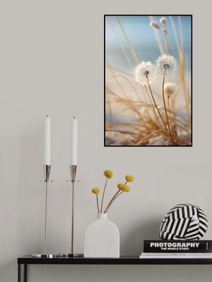 Whispers in the Wind