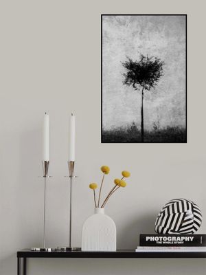 Tree in black and white