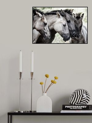 Four Konik Horses
