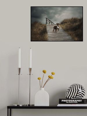 The summer wind came blowin' in from across the Sea…. (Frank Sinatra)