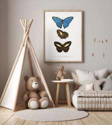 Different Types of Butterflies II