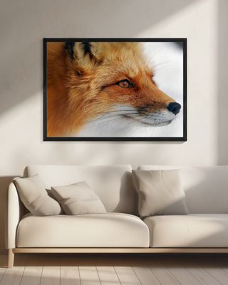 Red Fox