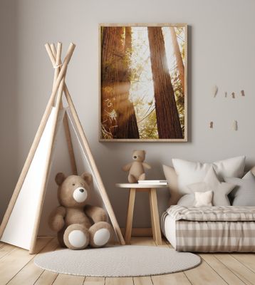 Redwood Forest Sunbeams III