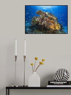 Underwater biodiversity