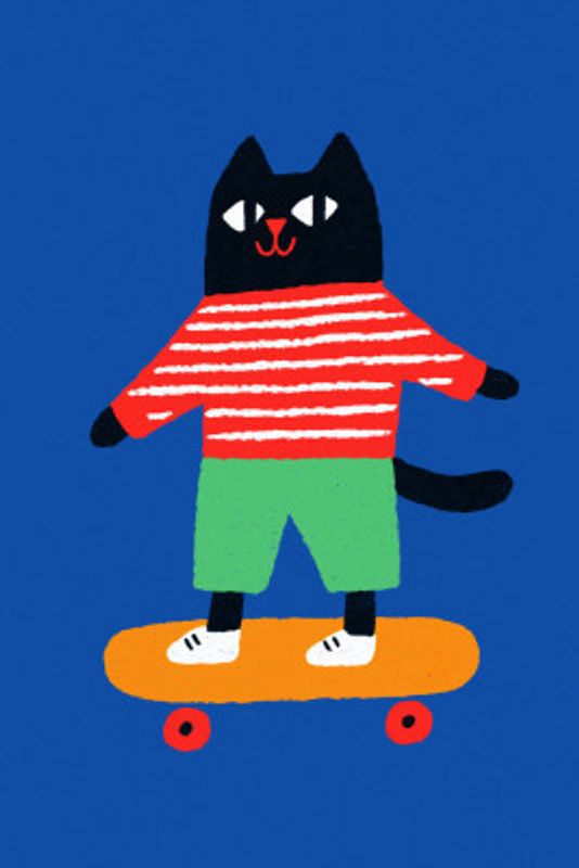 Skating cat