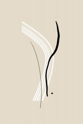 Elegant Black and White Lines