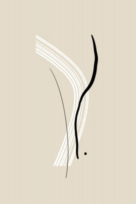 Elegant Black and White Lines