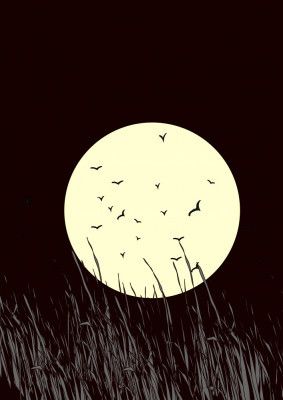 Full Moon Glow In the Grassland